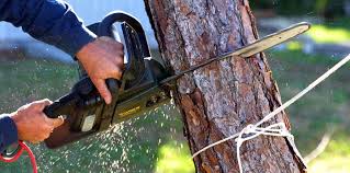 Best Aeration Services  in Gold Bar, WA